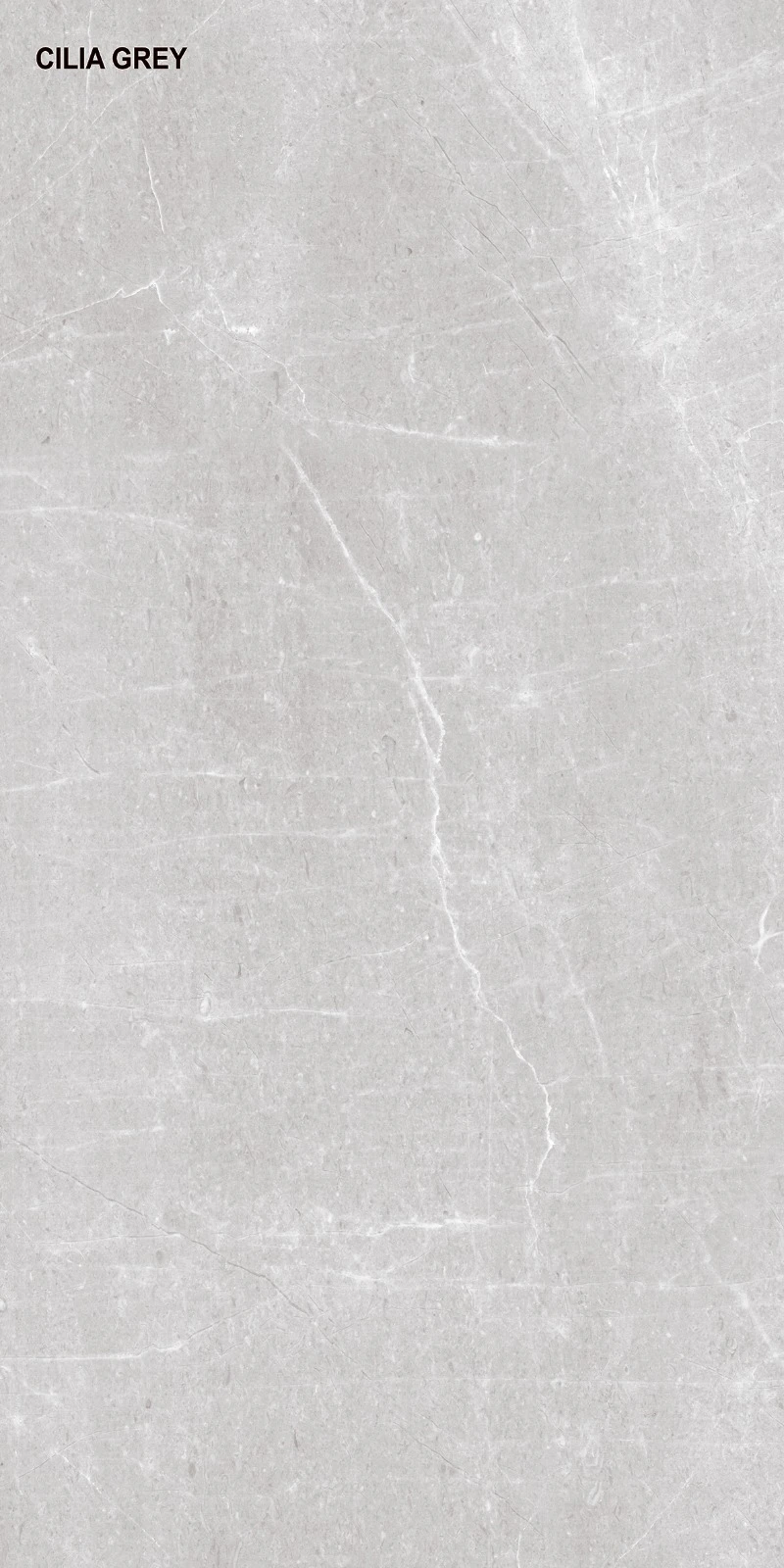 Cilia Grey