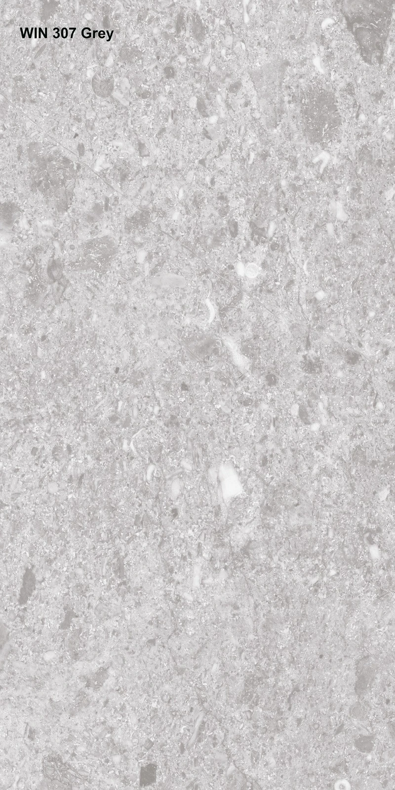 WIN 307 Grey