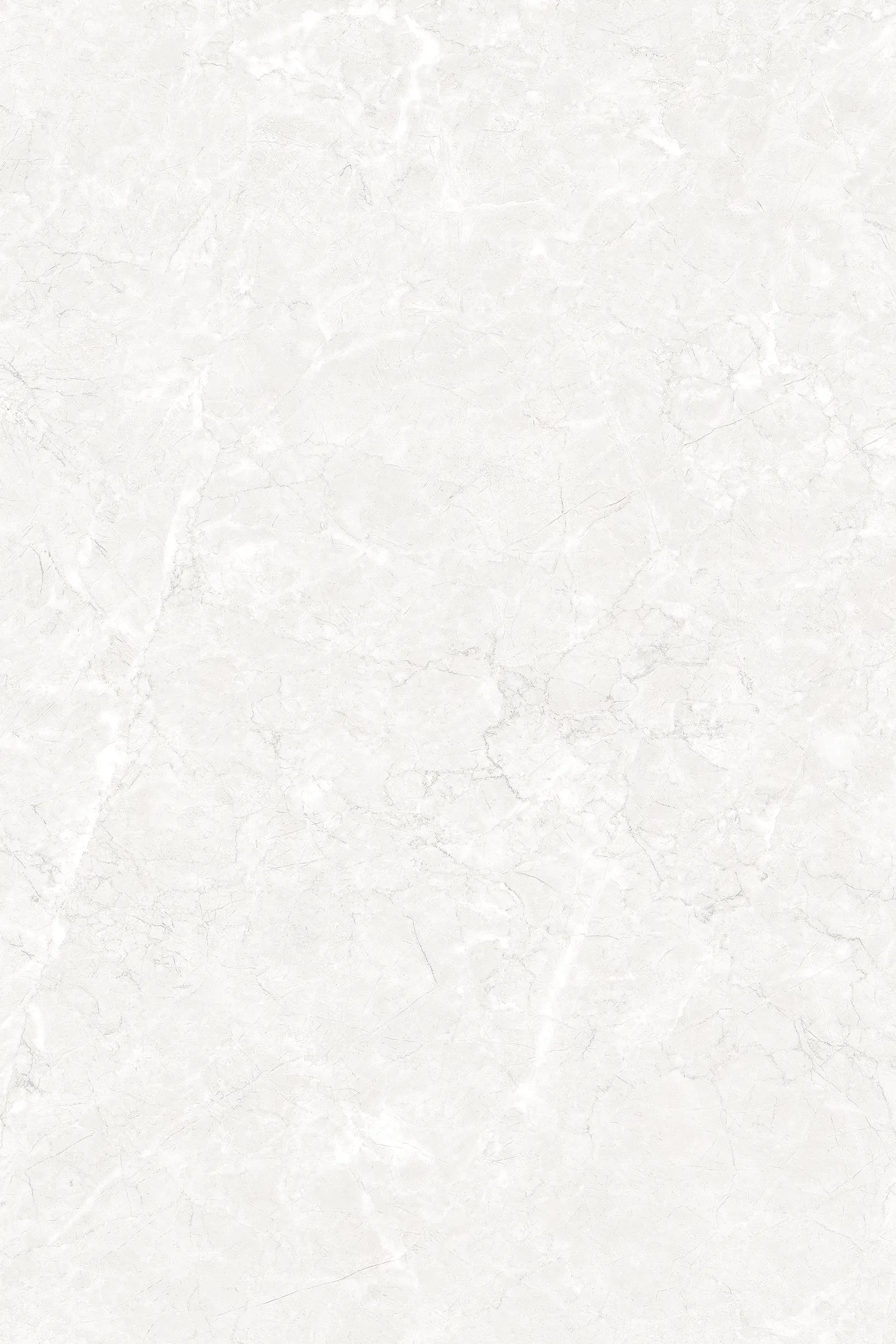 CR_SUPRA WHITE(3363 L)-1