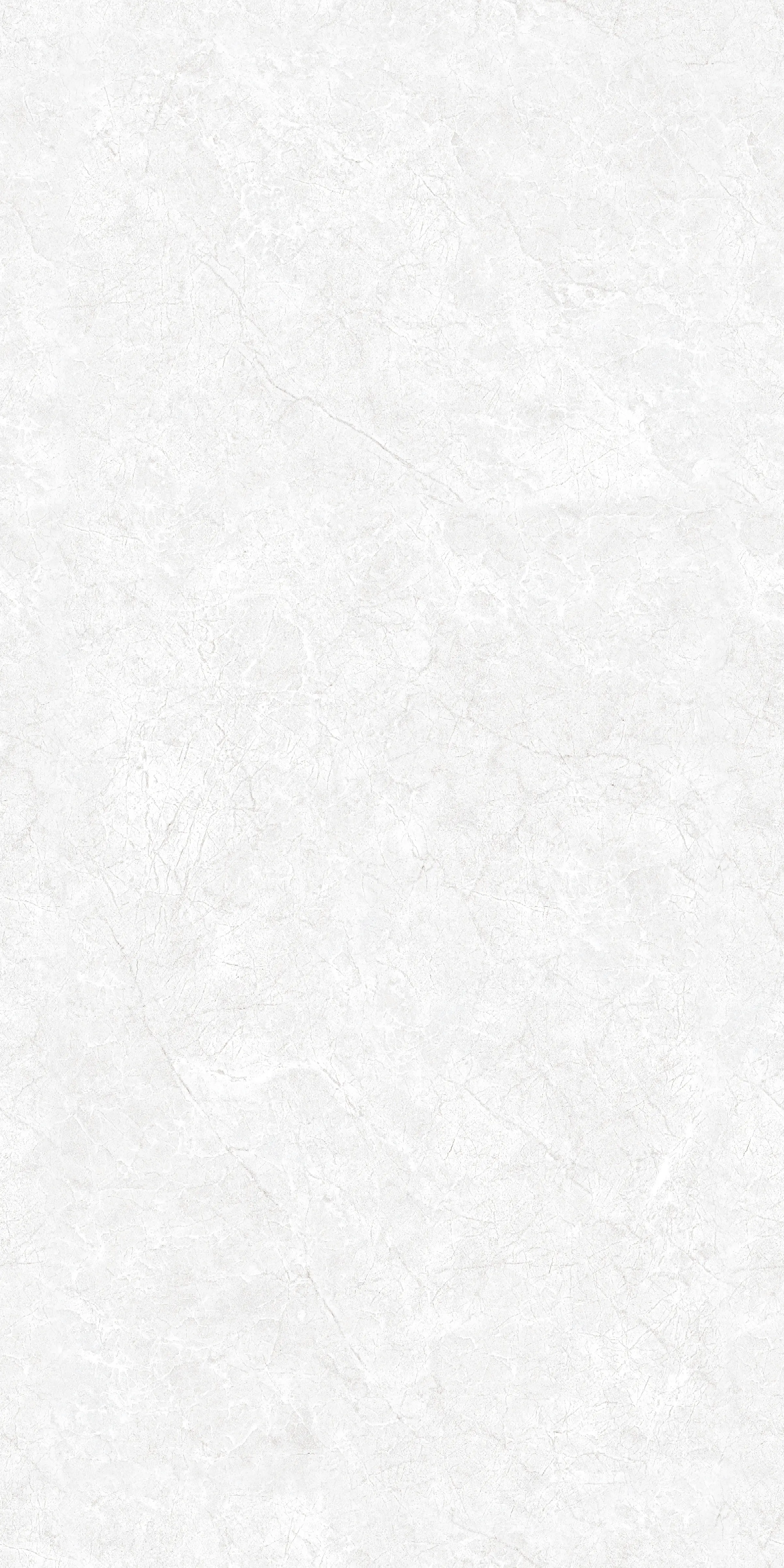 CR_ENDLESS OYSTER BIANCO(3569)-1