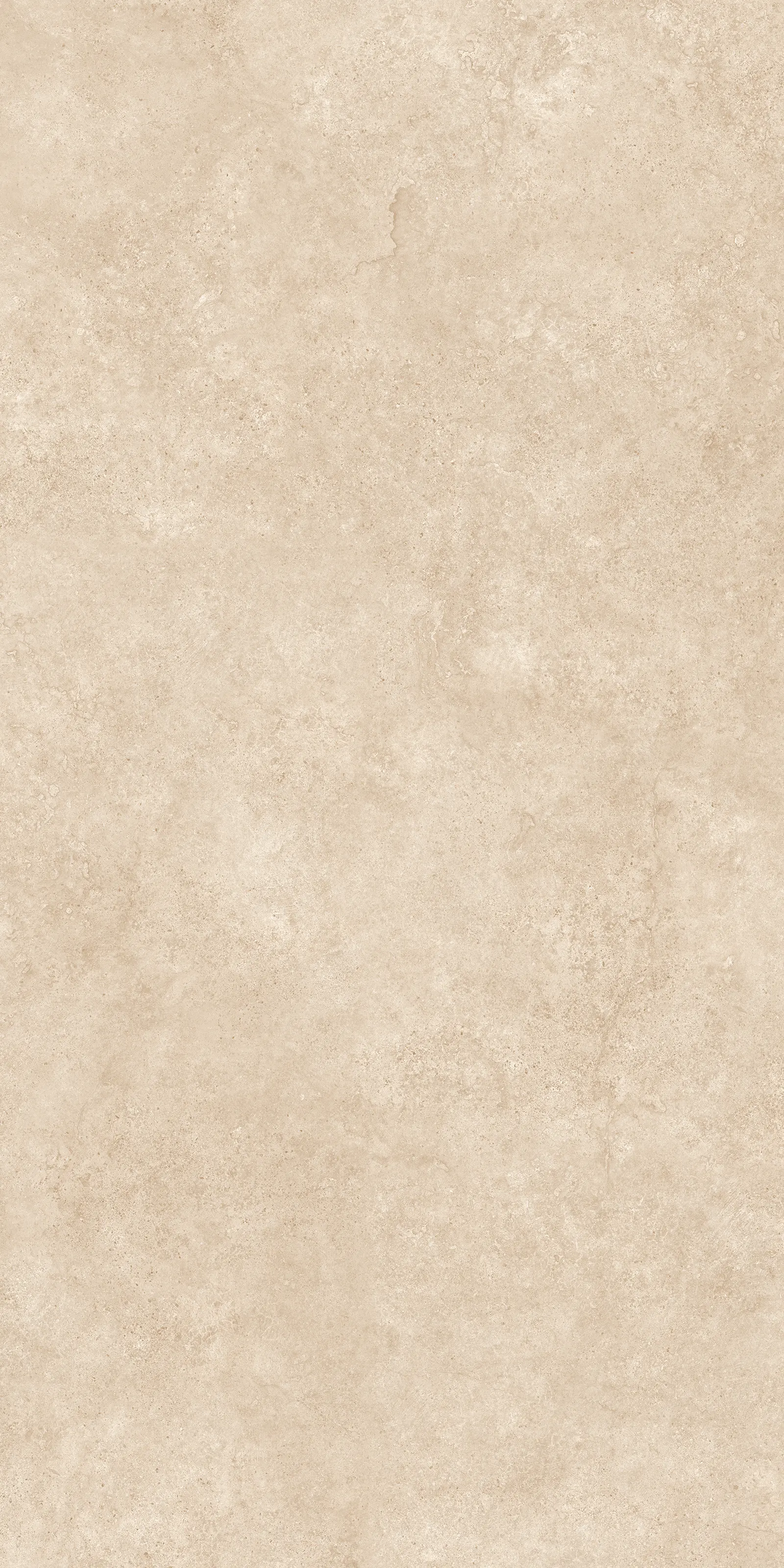 12019-1