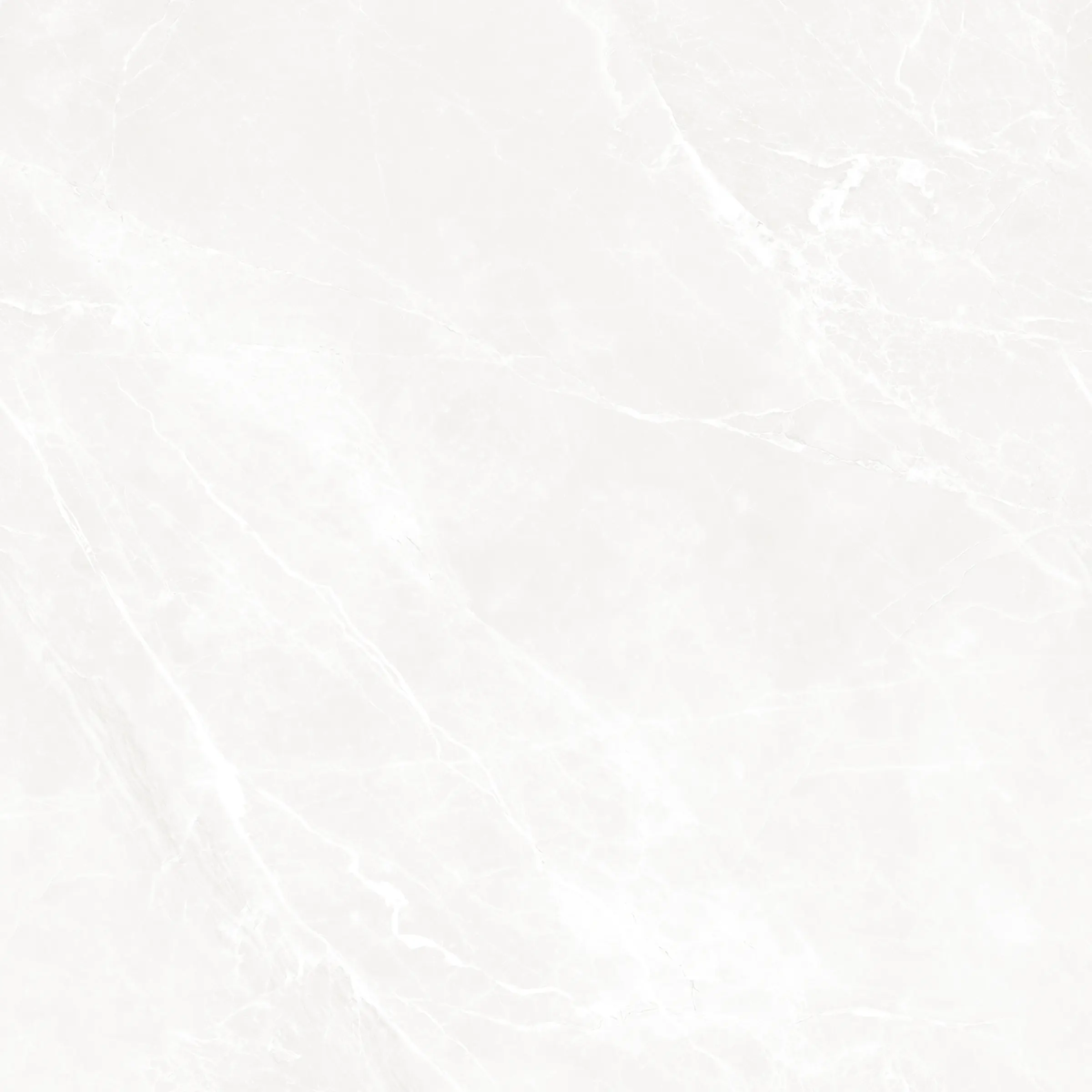 NETRA BLANCO(105 D Full)-1