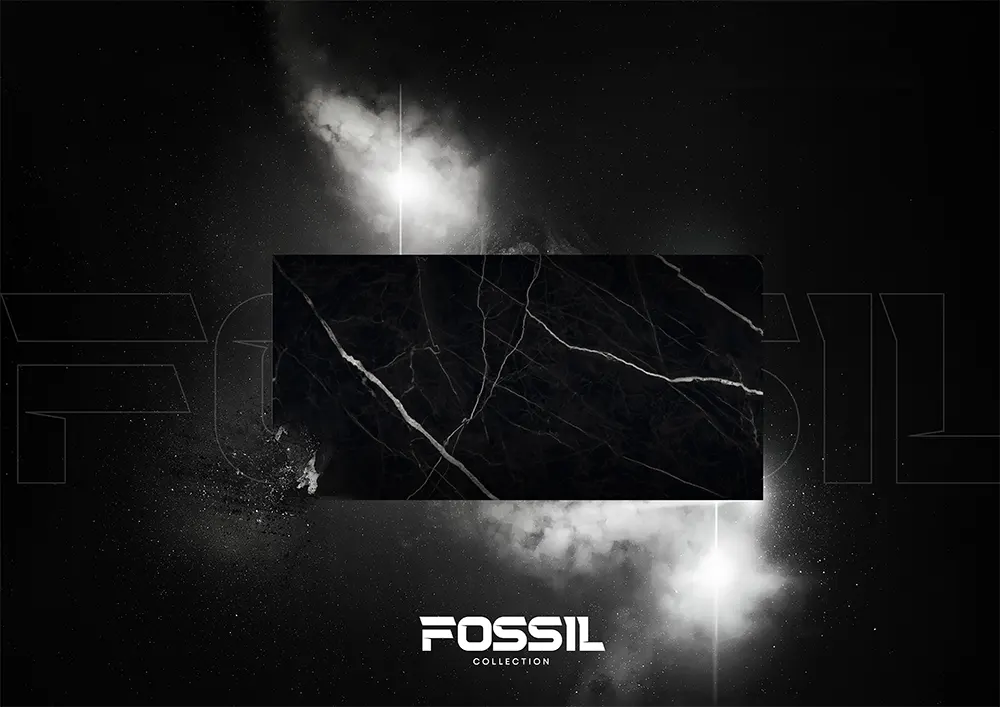 600x1200mm Fossil Collection